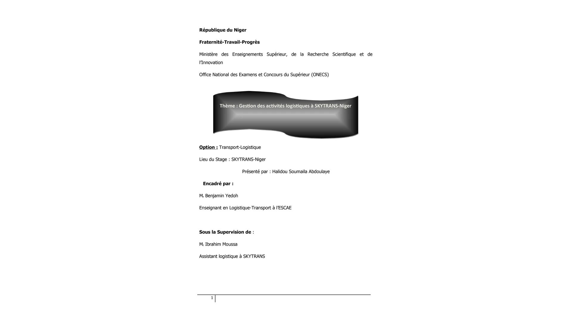 Logistics Management at SKYTRANS-Niger